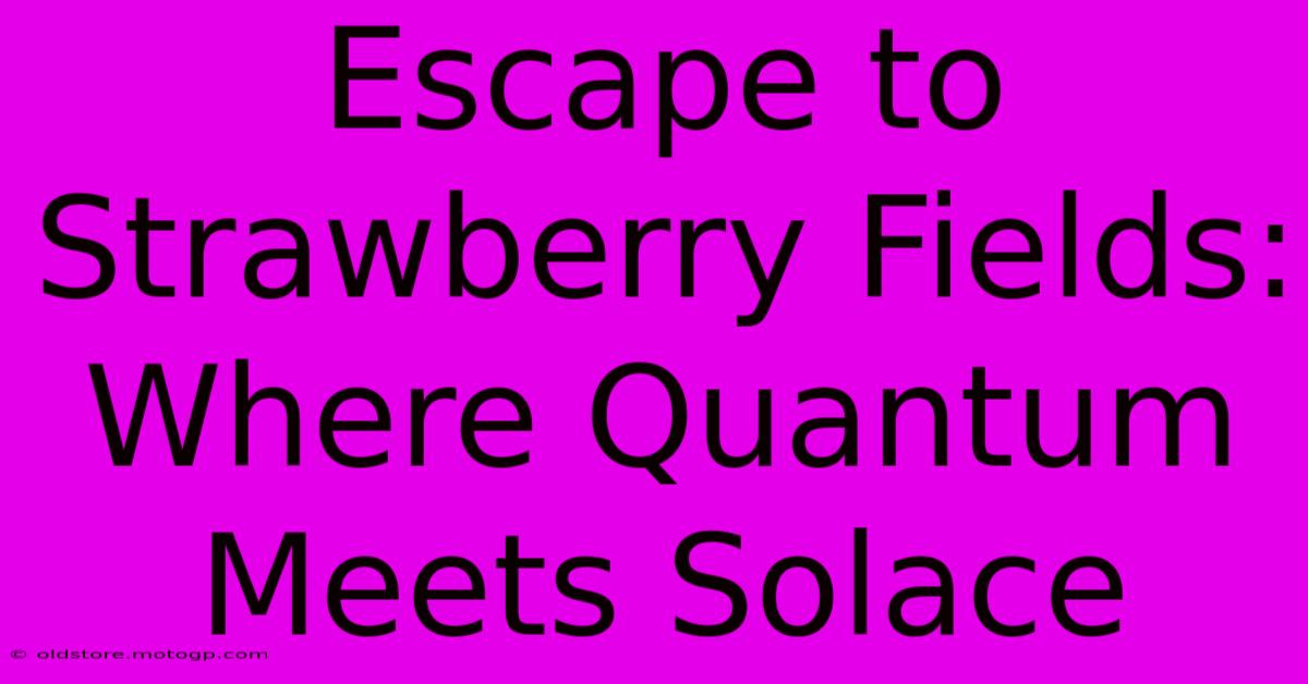 Escape To Strawberry Fields: Where Quantum Meets Solace