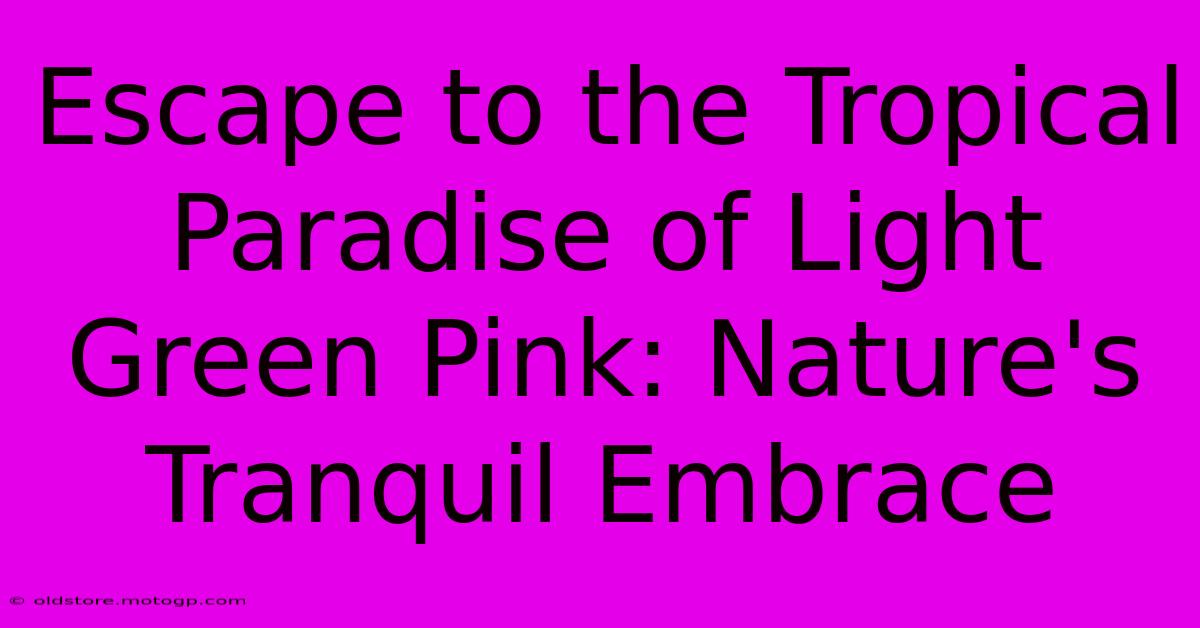 Escape To The Tropical Paradise Of Light Green Pink: Nature's Tranquil Embrace