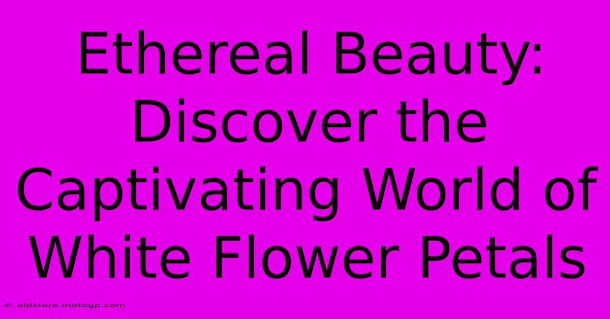 Ethereal Beauty: Discover The Captivating World Of White Flower Petals