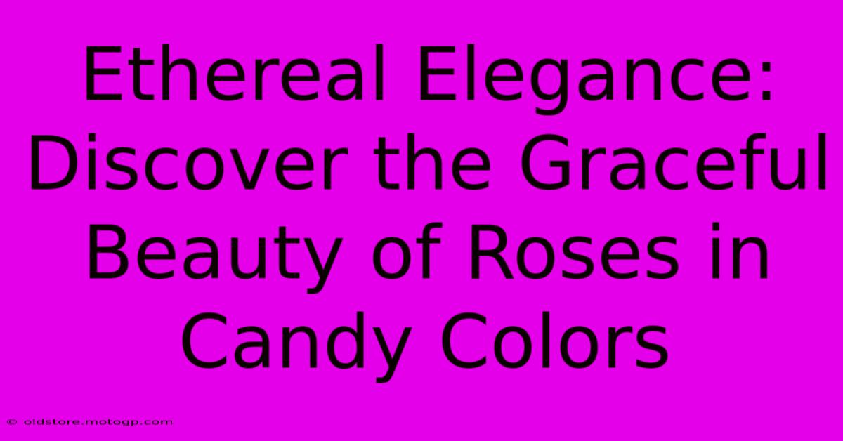 Ethereal Elegance: Discover The Graceful Beauty Of Roses In Candy Colors