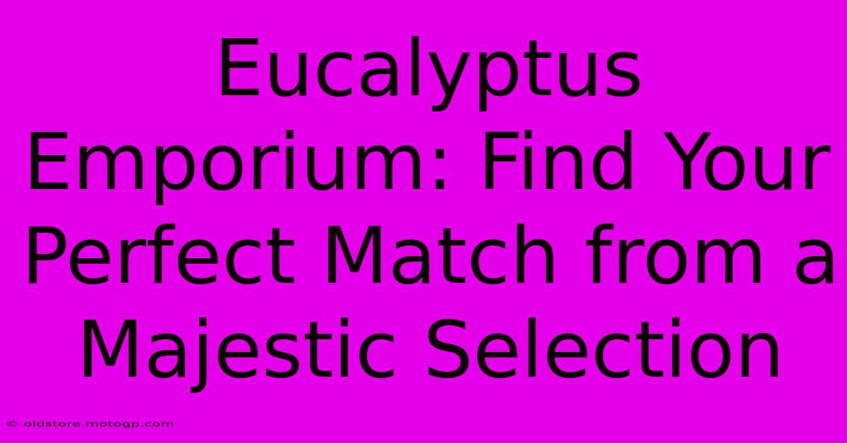 Eucalyptus Emporium: Find Your Perfect Match From A Majestic Selection