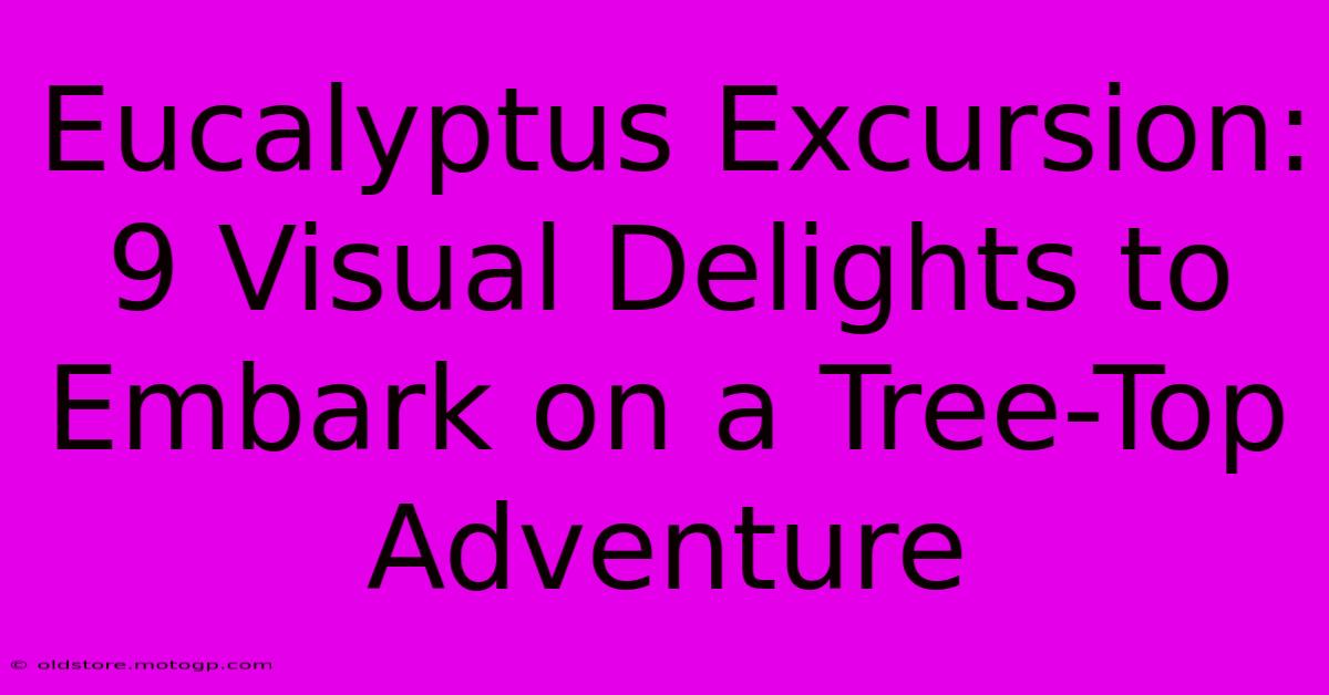 Eucalyptus Excursion: 9 Visual Delights To Embark On A Tree-Top Adventure