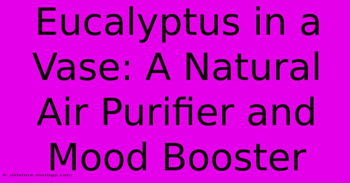 Eucalyptus In A Vase: A Natural Air Purifier And Mood Booster