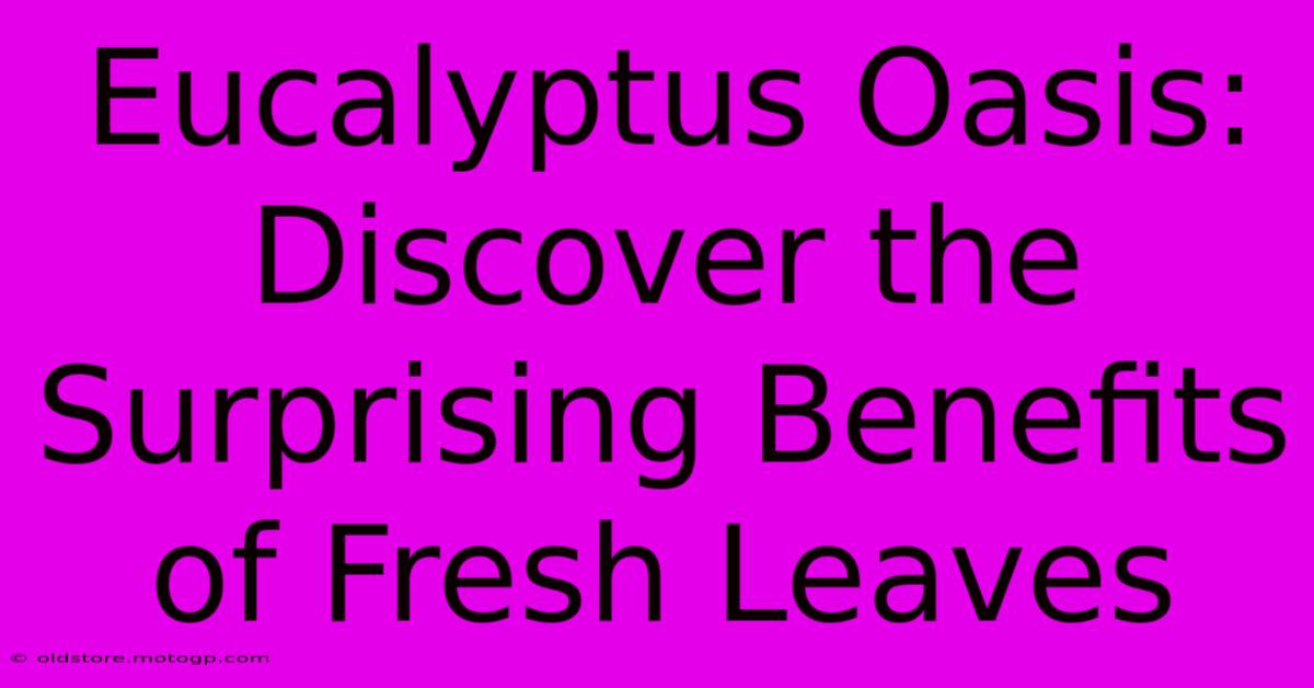 Eucalyptus Oasis: Discover The Surprising Benefits Of Fresh Leaves