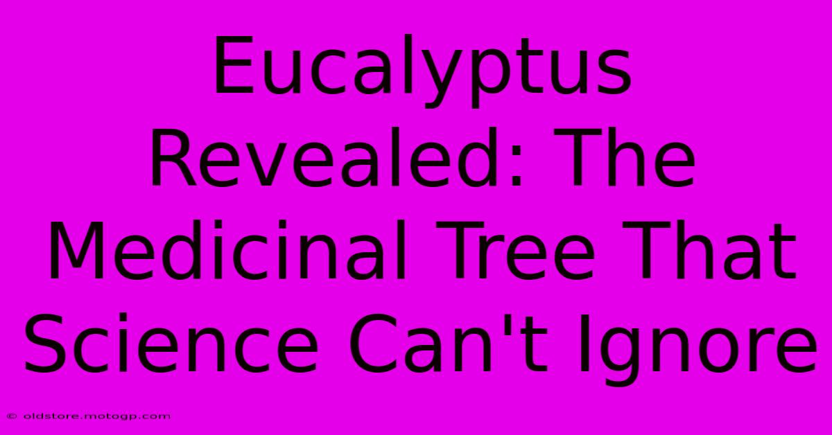 Eucalyptus Revealed: The Medicinal Tree That Science Can't Ignore