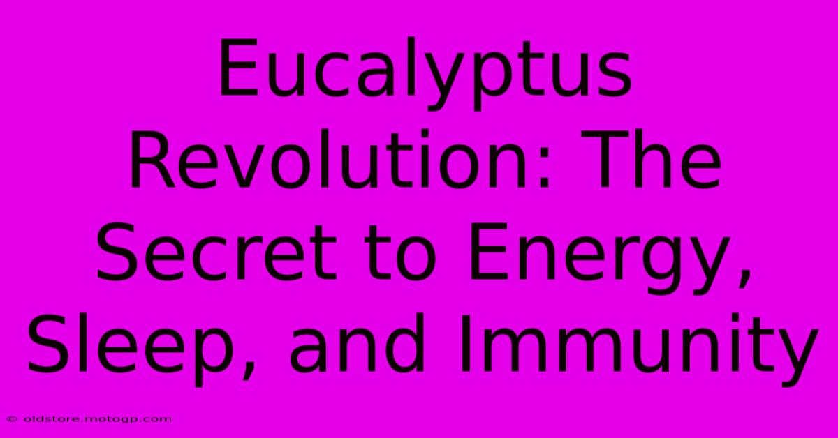 Eucalyptus Revolution: The Secret To Energy, Sleep, And Immunity