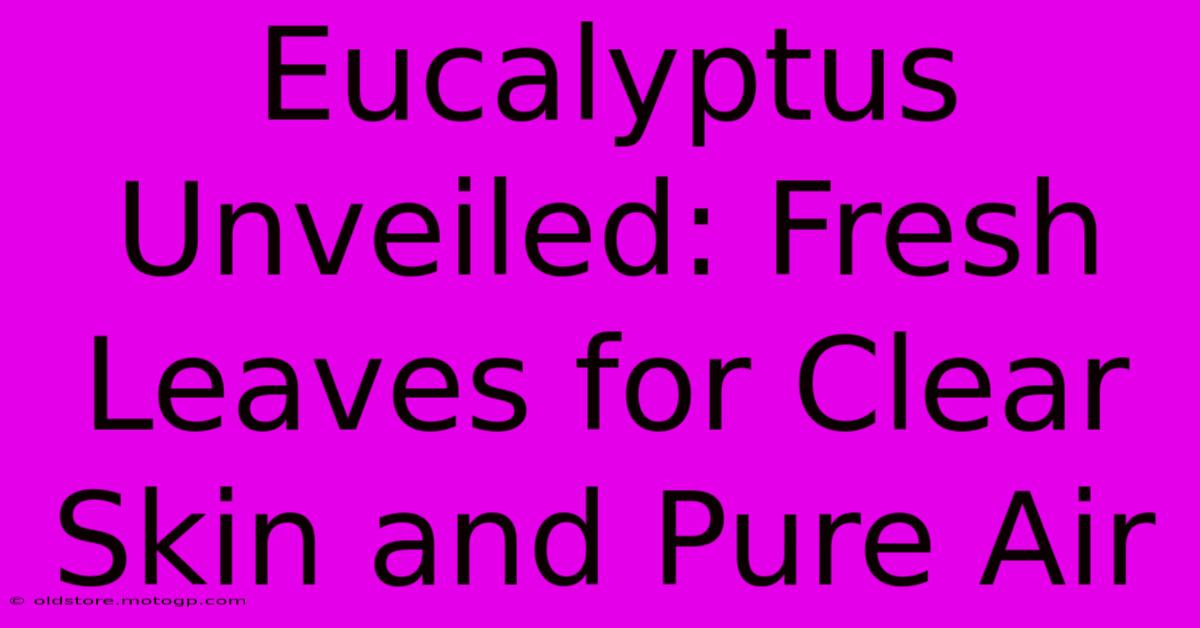 Eucalyptus Unveiled: Fresh Leaves For Clear Skin And Pure Air