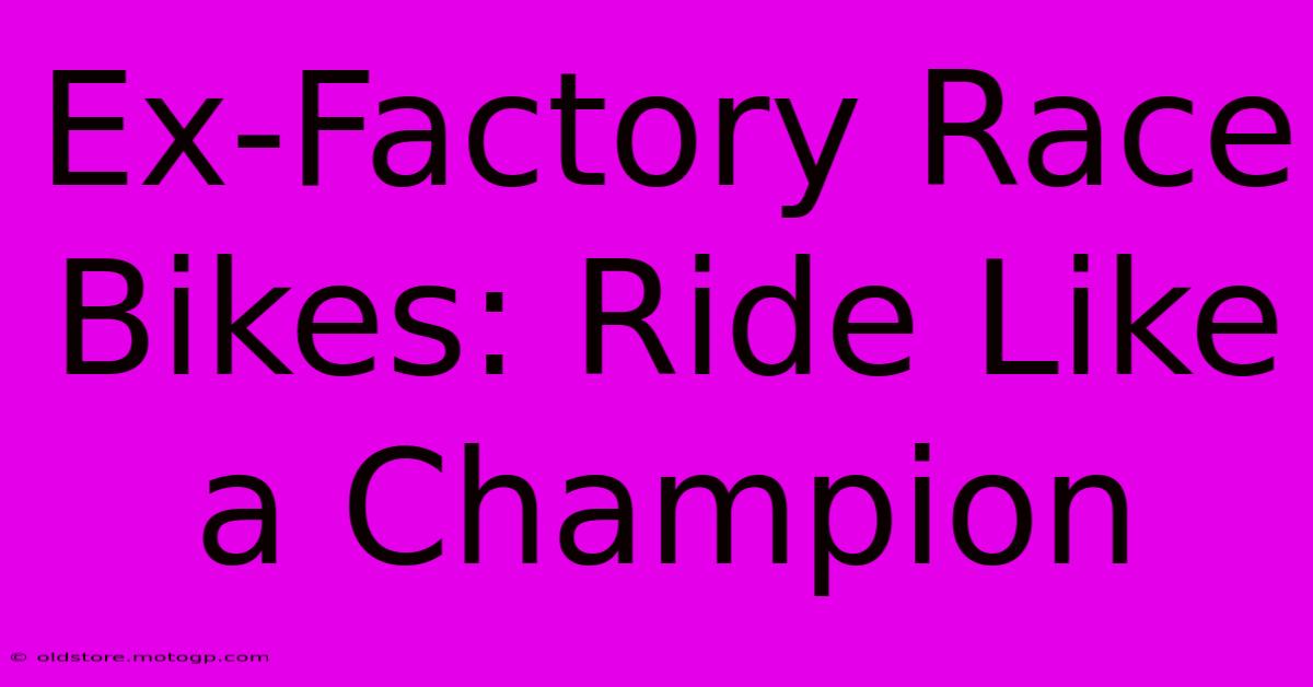 Ex-Factory Race Bikes: Ride Like A Champion