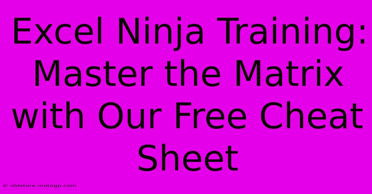 Excel Ninja Training: Master The Matrix With Our Free Cheat Sheet