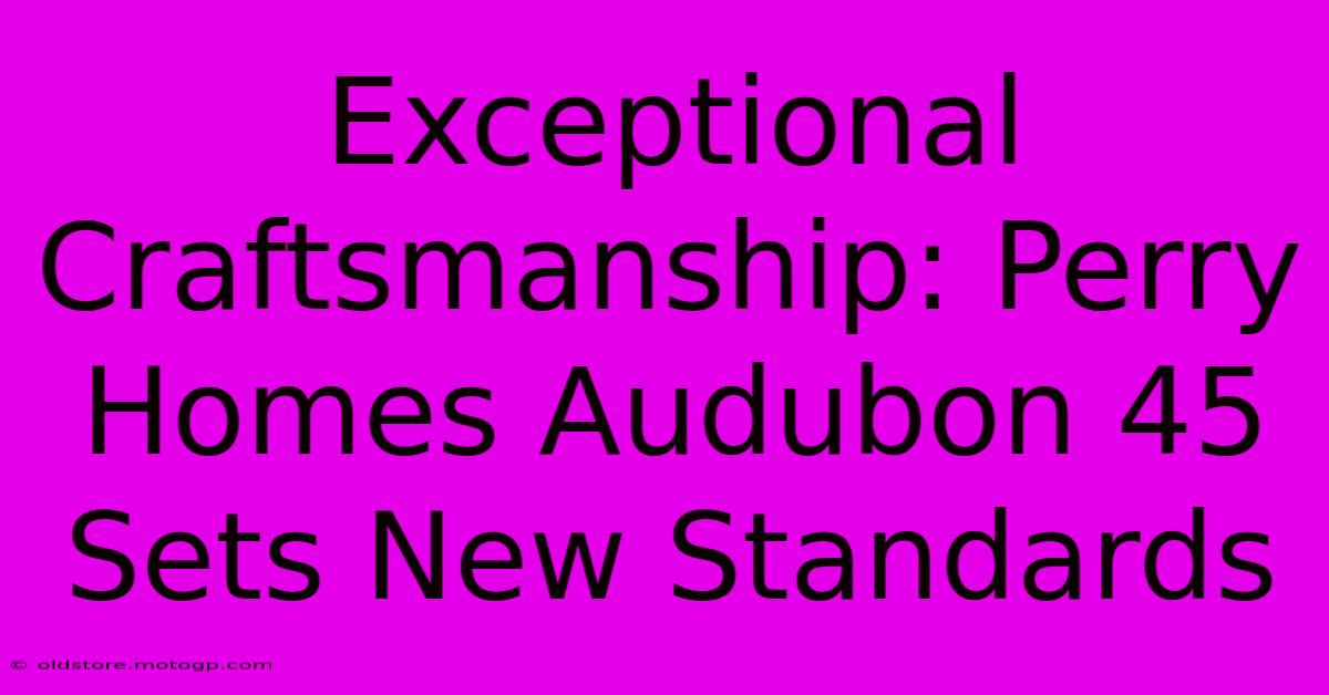 Exceptional Craftsmanship: Perry Homes Audubon 45 Sets New Standards