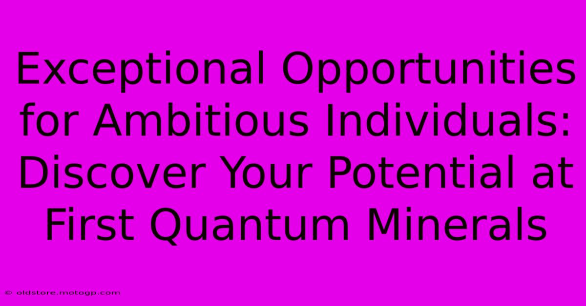 Exceptional Opportunities For Ambitious Individuals: Discover Your Potential At First Quantum Minerals