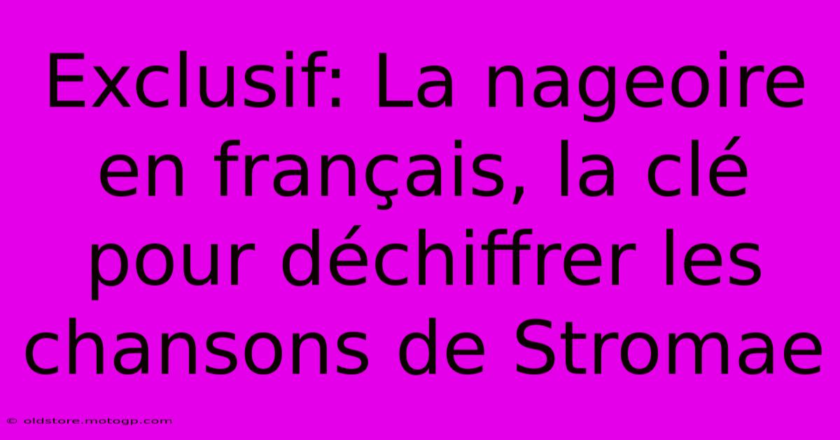 Exclusif: La Nageoire En Français, La Clé Pour Déchiffrer Les Chansons De Stromae