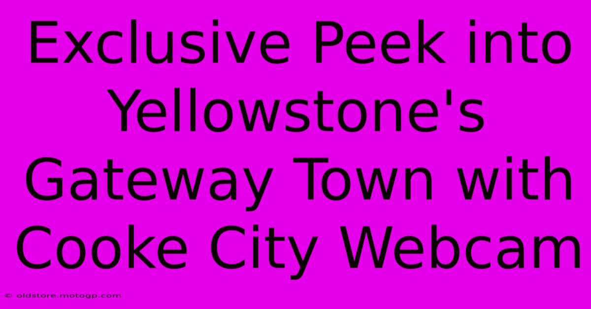 Exclusive Peek Into Yellowstone's Gateway Town With Cooke City Webcam