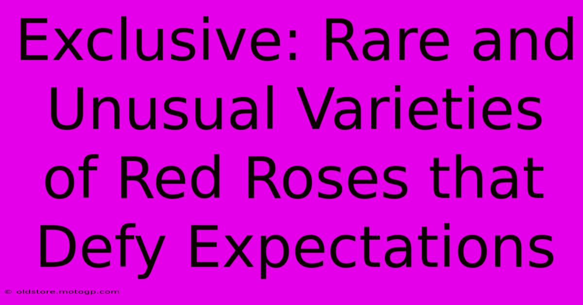 Exclusive: Rare And Unusual Varieties Of Red Roses That Defy Expectations