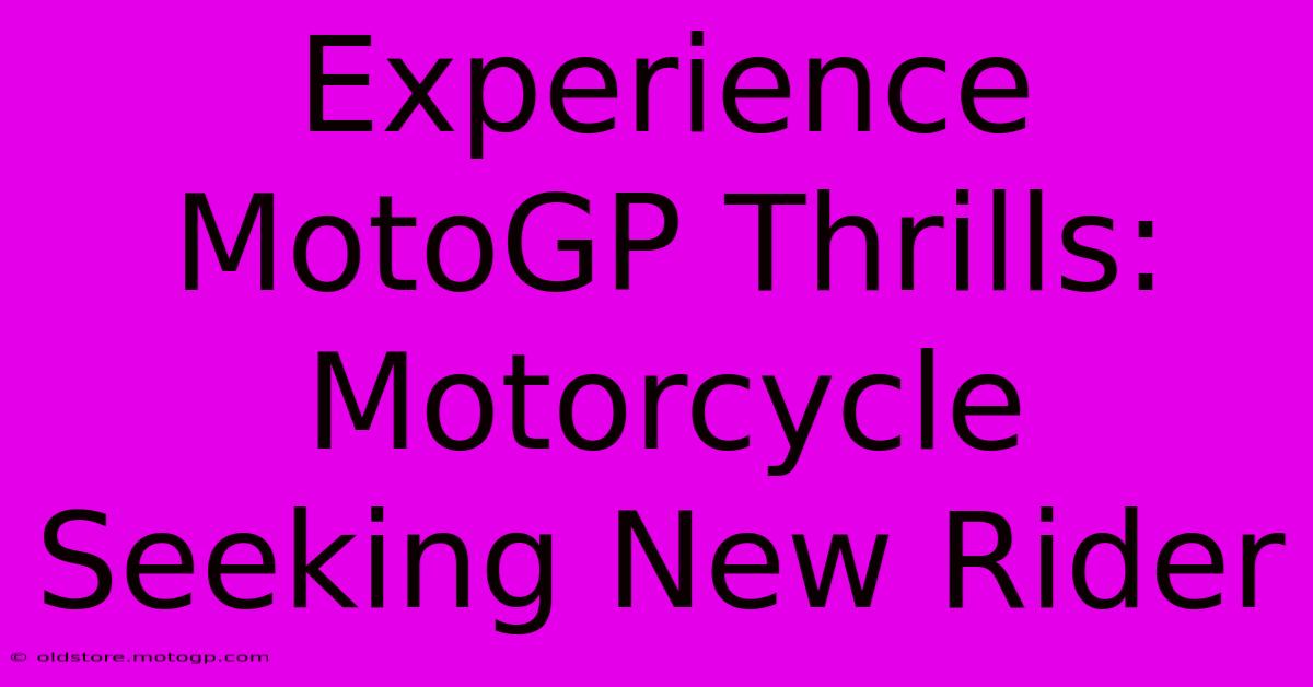 Experience MotoGP Thrills: Motorcycle Seeking New Rider