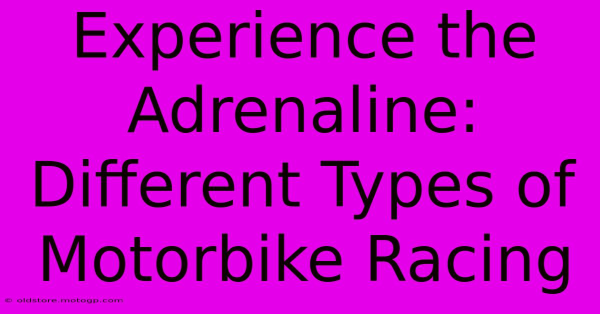 Experience The Adrenaline: Different Types Of Motorbike Racing