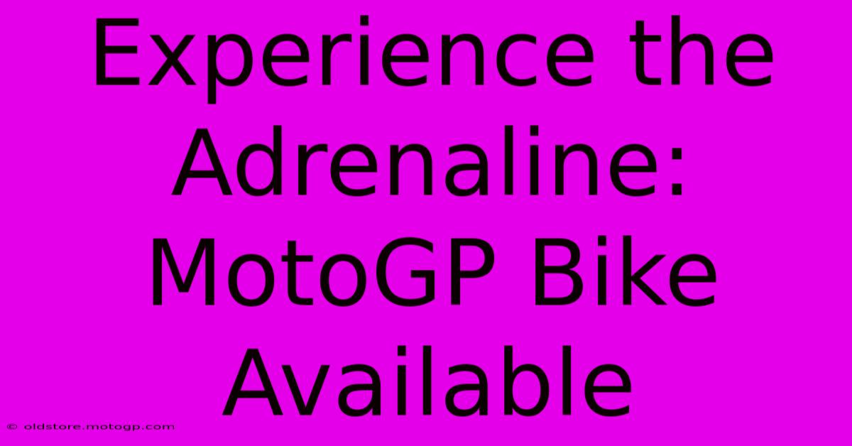 Experience The Adrenaline: MotoGP Bike Available