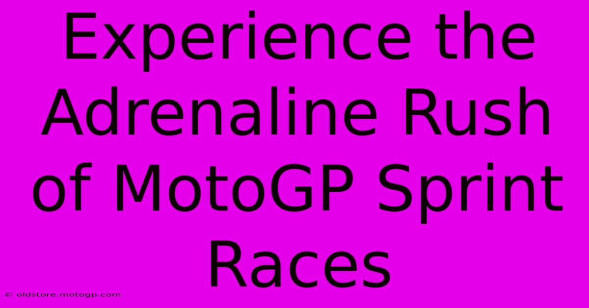 Experience The Adrenaline Rush Of MotoGP Sprint Races