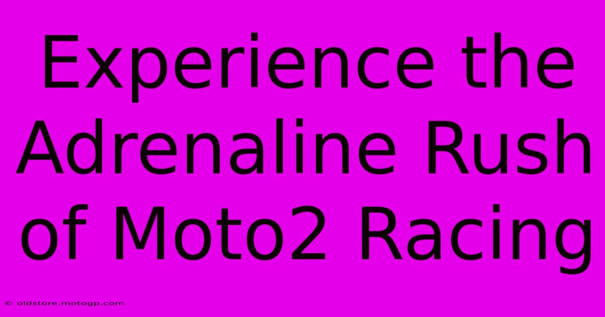 Experience The Adrenaline Rush Of Moto2 Racing