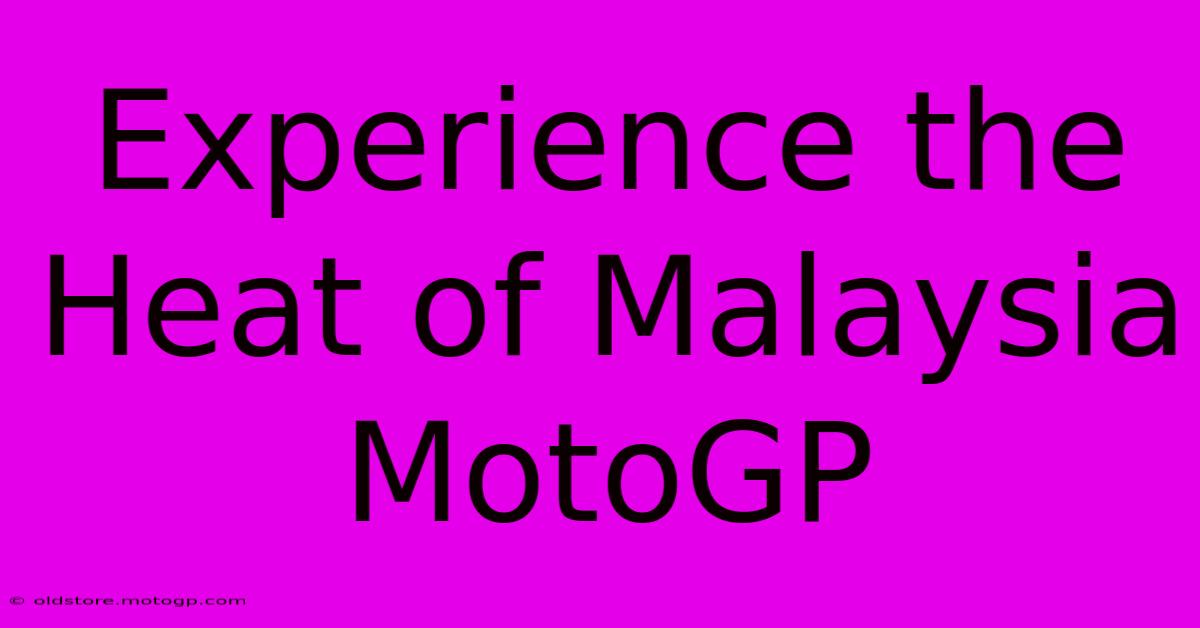 Experience The Heat Of Malaysia MotoGP