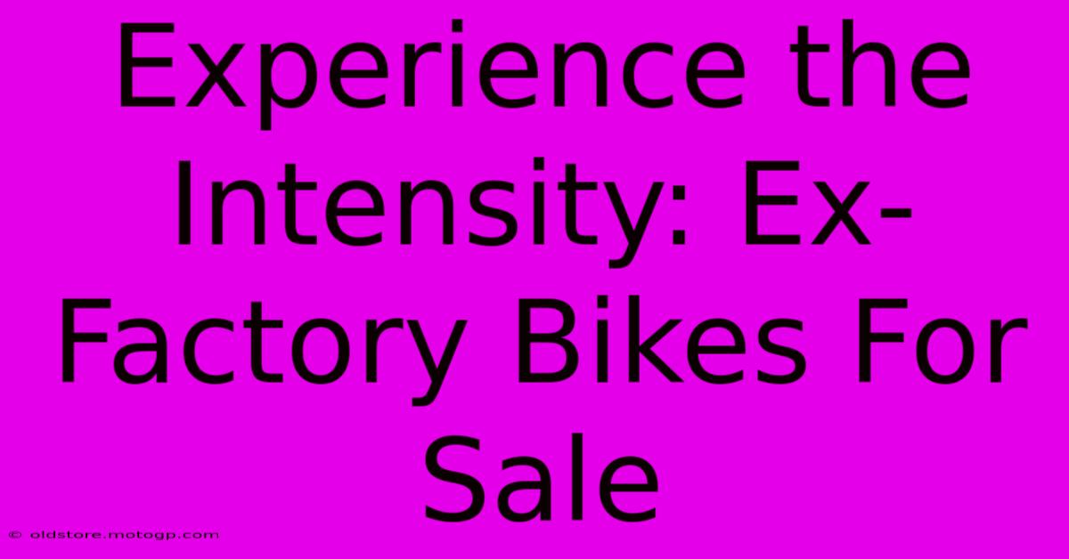 Experience The Intensity: Ex-Factory Bikes For Sale