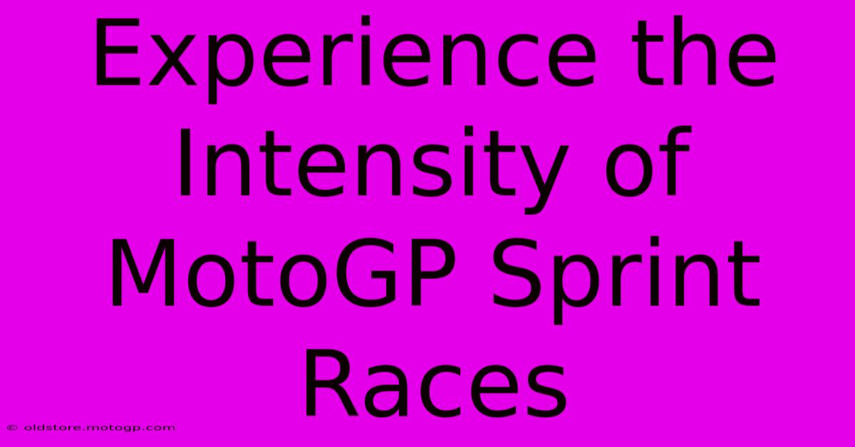 Experience The Intensity Of MotoGP Sprint Races