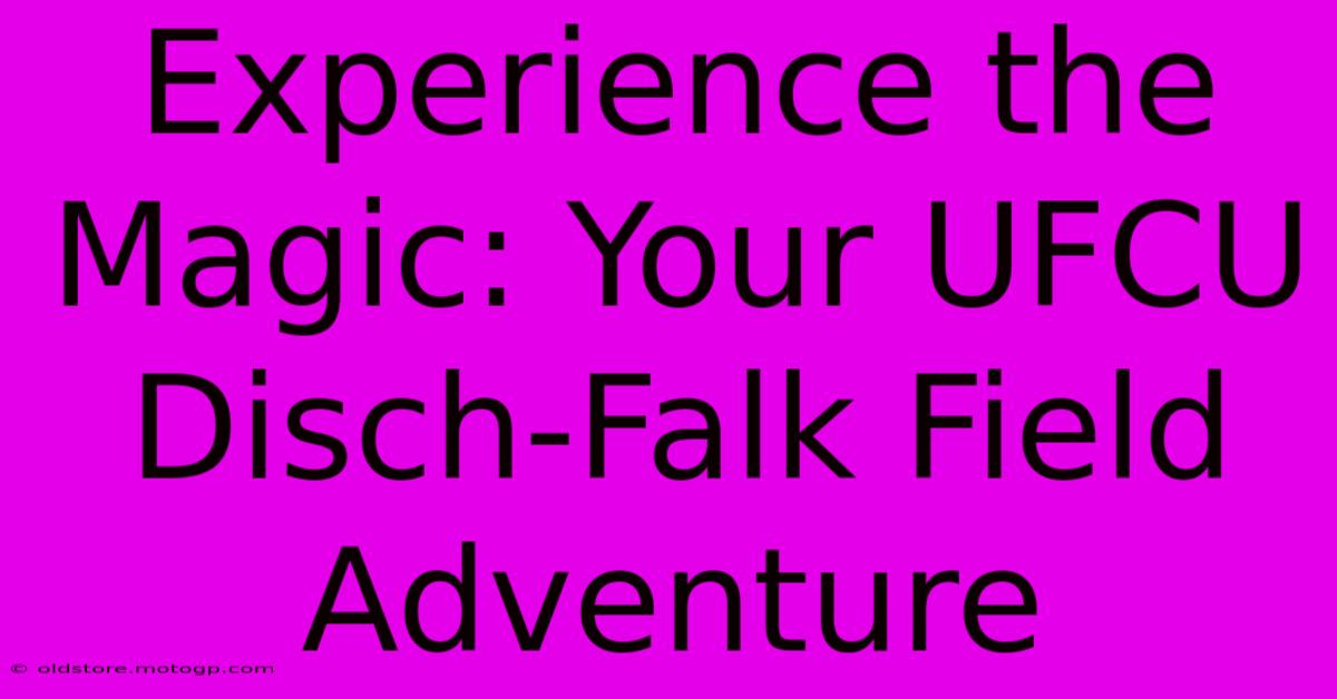 Experience The Magic: Your UFCU Disch-Falk Field Adventure