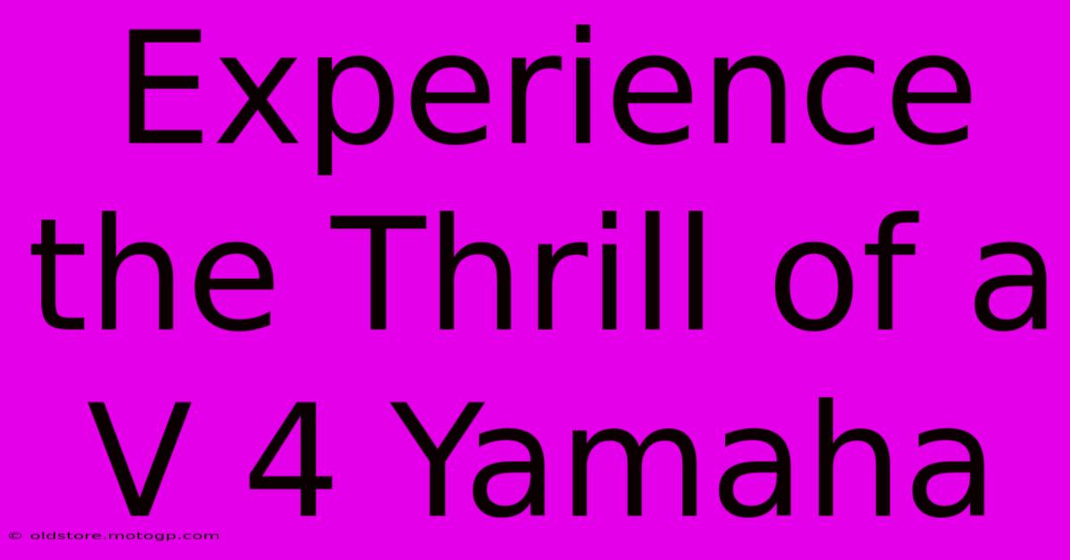 Experience The Thrill Of A V 4 Yamaha