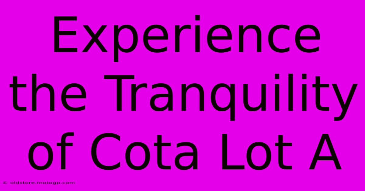 Experience The Tranquility Of Cota Lot A