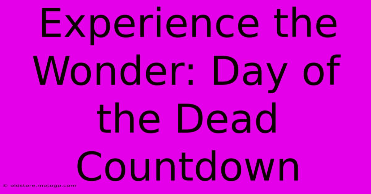 Experience The Wonder: Day Of The Dead Countdown