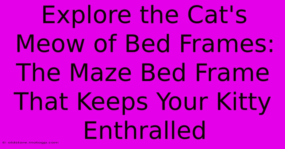 Explore The Cat's Meow Of Bed Frames: The Maze Bed Frame That Keeps Your Kitty Enthralled