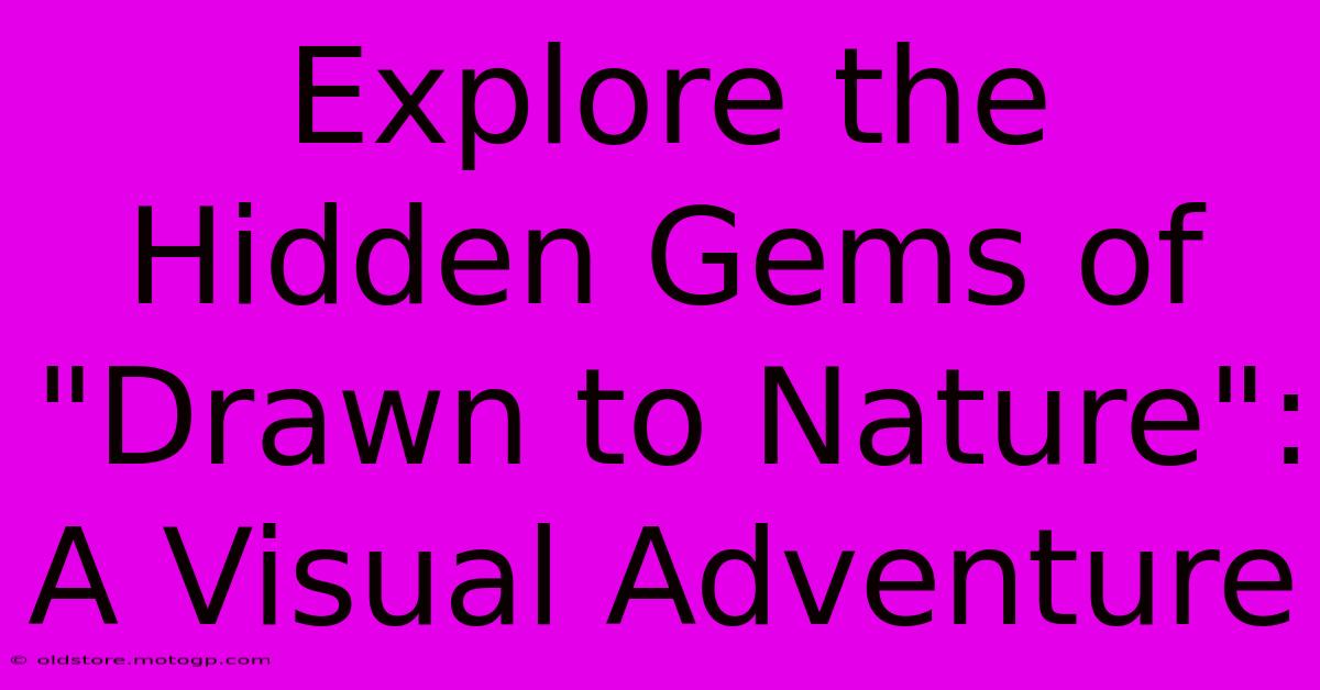 Explore The Hidden Gems Of 