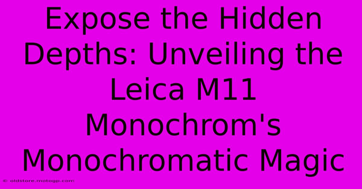 Expose The Hidden Depths: Unveiling The Leica M11 Monochrom's Monochromatic Magic