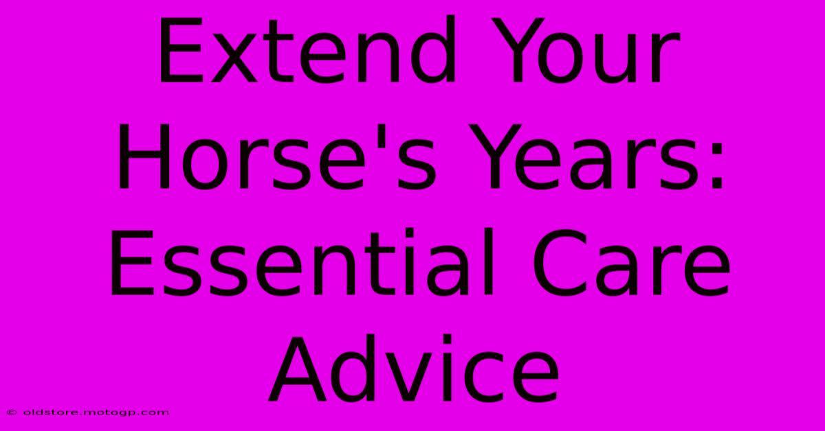 Extend Your Horse's Years: Essential Care Advice