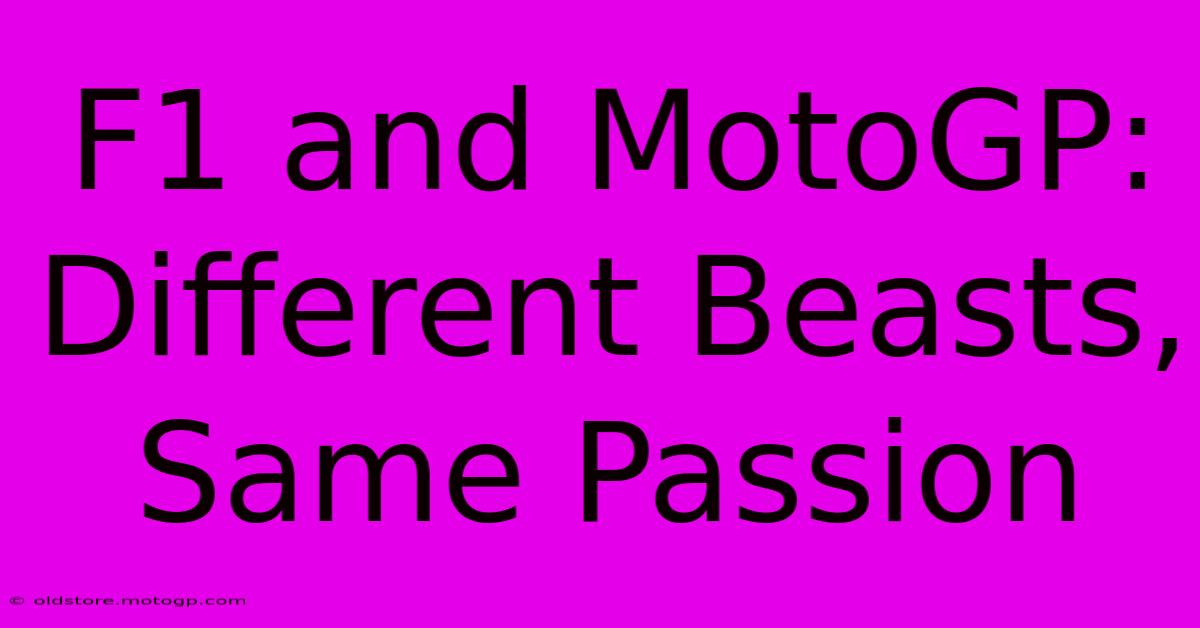 F1 And MotoGP: Different Beasts, Same Passion