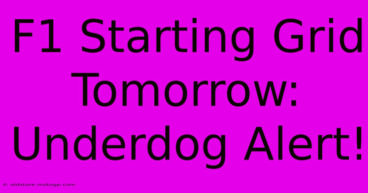 F1 Starting Grid Tomorrow: Underdog Alert!