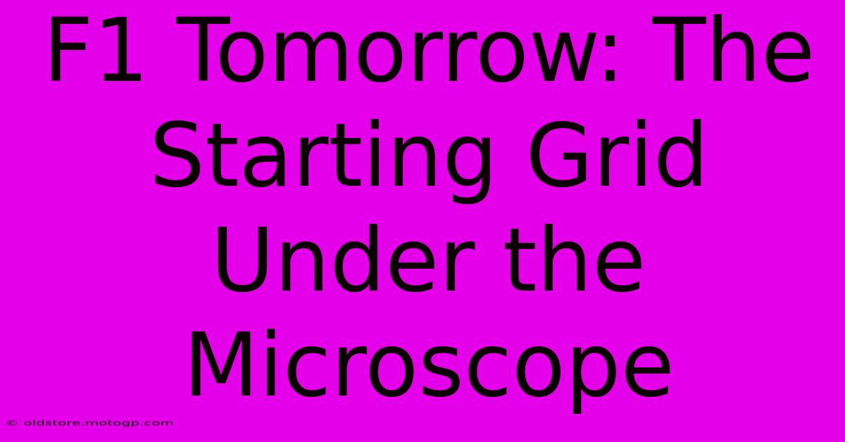 F1 Tomorrow: The Starting Grid Under The Microscope