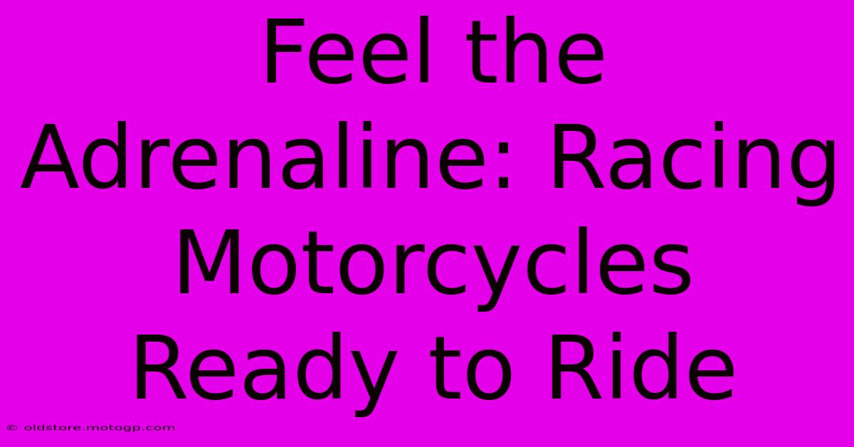 Feel The Adrenaline: Racing Motorcycles Ready To Ride