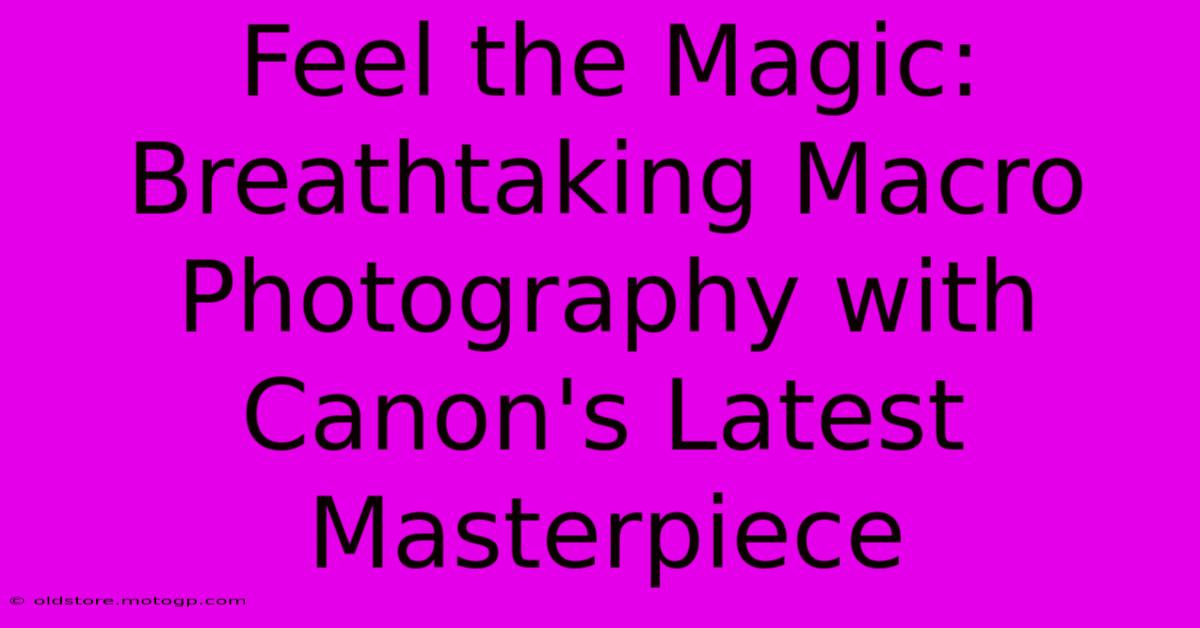 Feel The Magic: Breathtaking Macro Photography With Canon's Latest Masterpiece