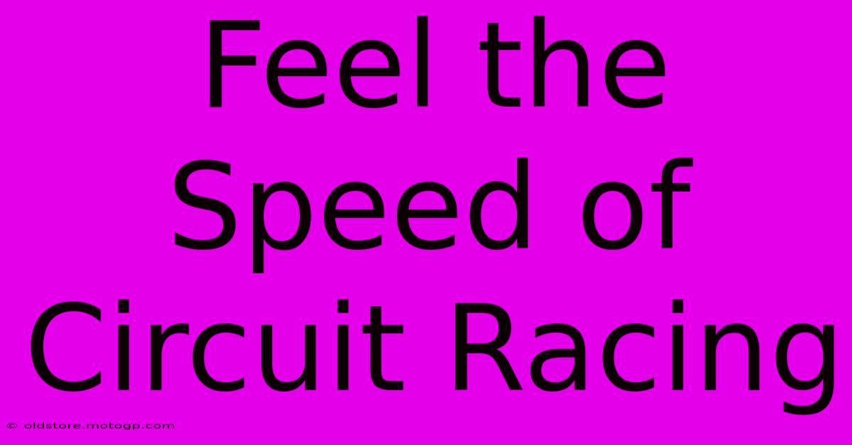 Feel The Speed Of Circuit Racing