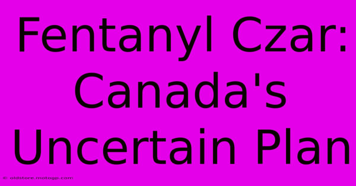 Fentanyl Czar: Canada's Uncertain Plan