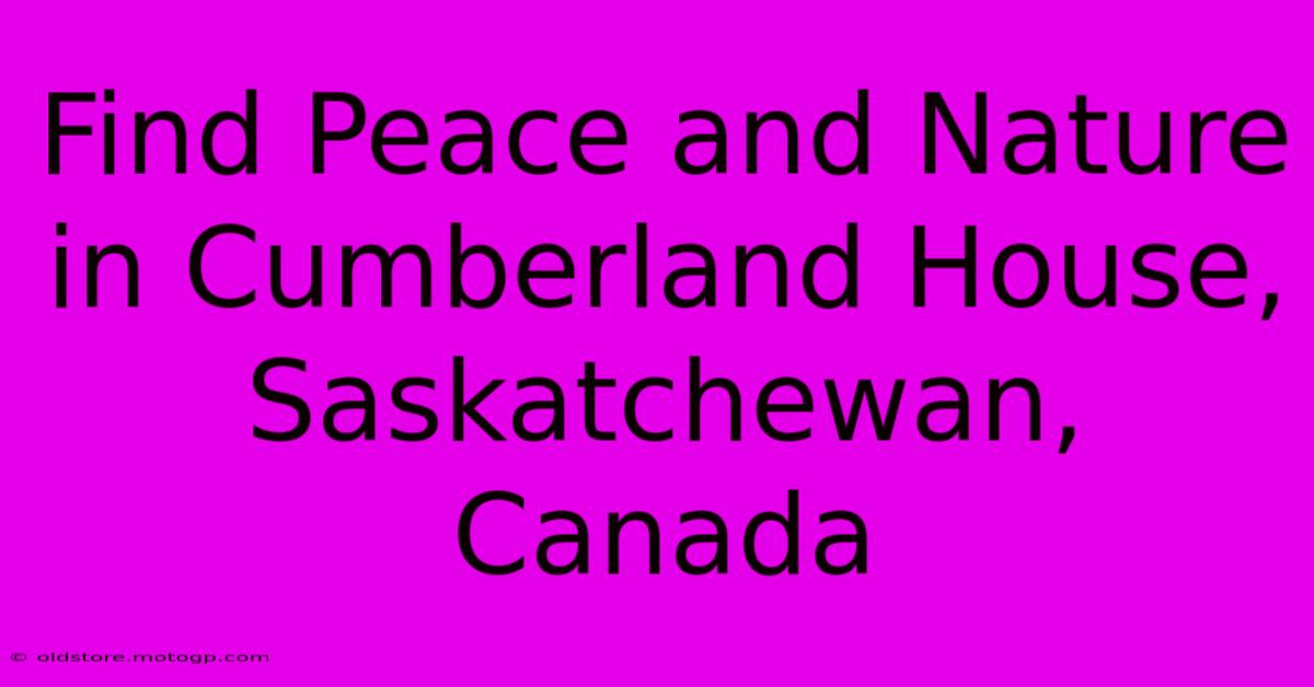 Find Peace And Nature In Cumberland House, Saskatchewan, Canada