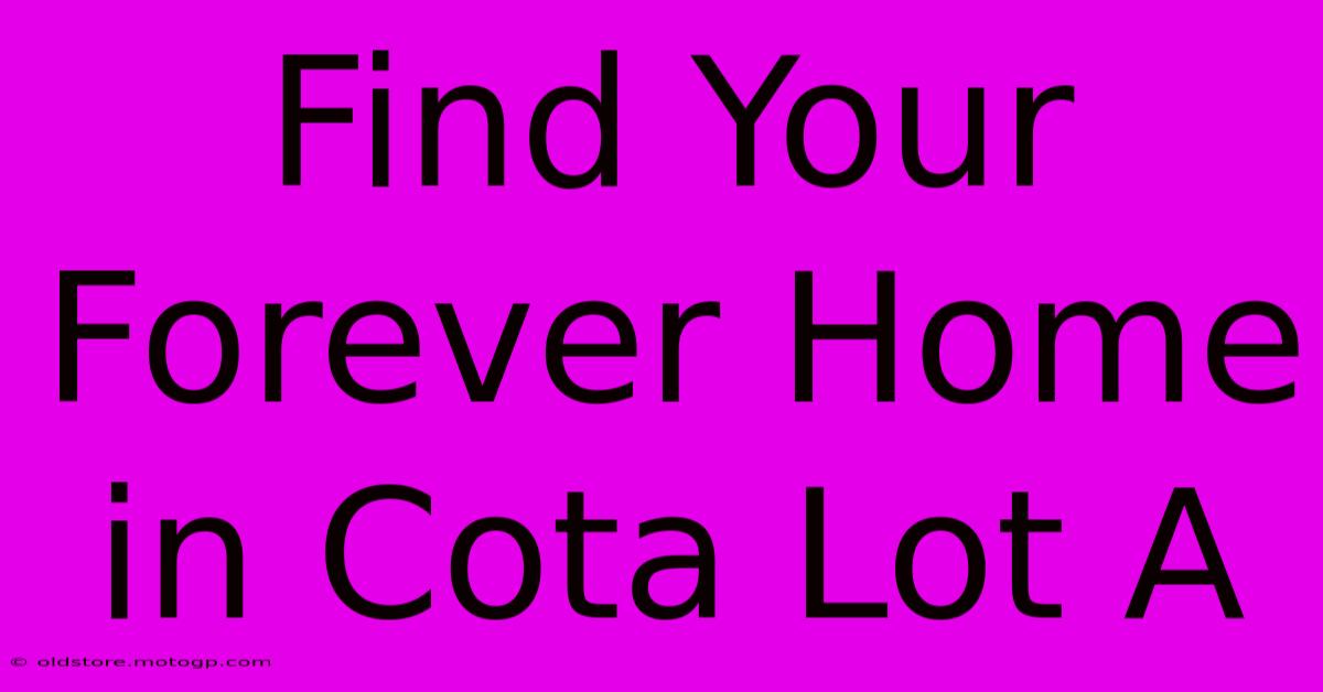 Find Your Forever Home In Cota Lot A