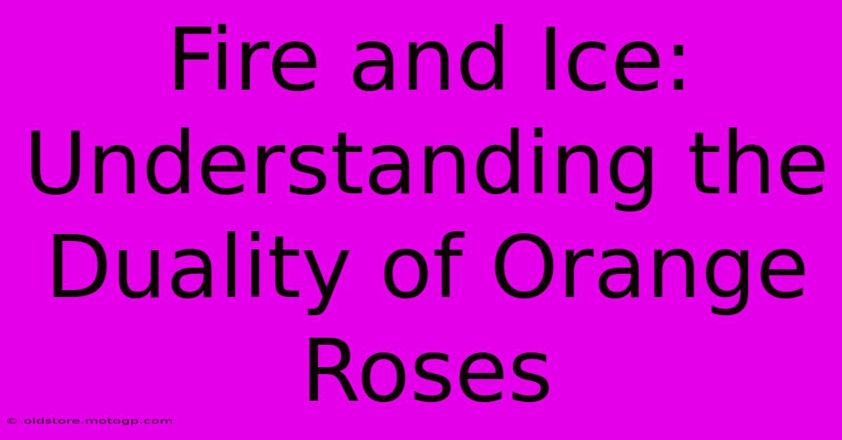 Fire And Ice: Understanding The Duality Of Orange Roses