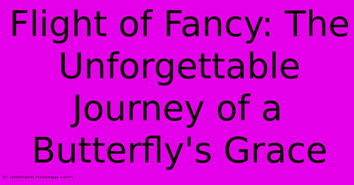 Flight Of Fancy: The Unforgettable Journey Of A Butterfly's Grace