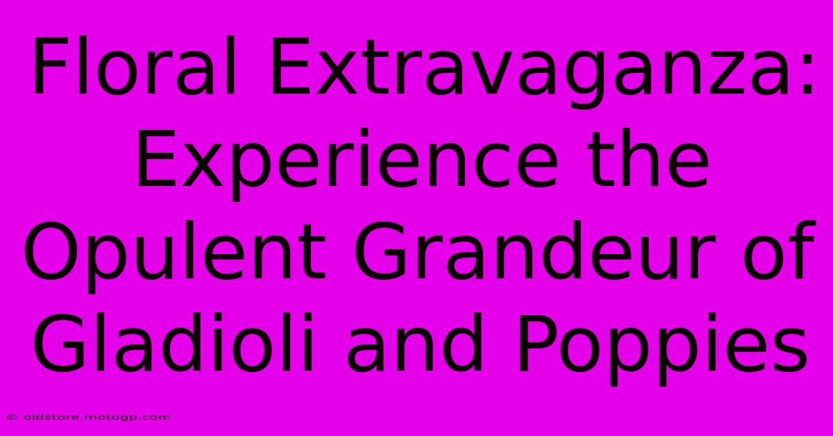 Floral Extravaganza: Experience The Opulent Grandeur Of Gladioli And Poppies