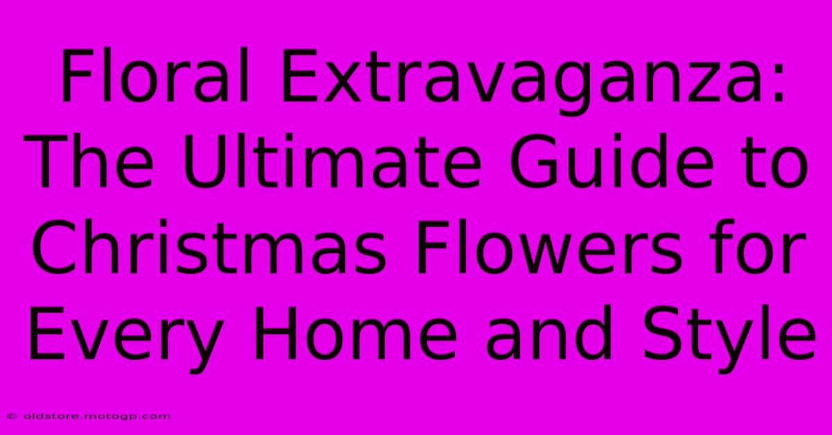 Floral Extravaganza: The Ultimate Guide To Christmas Flowers For Every Home And Style