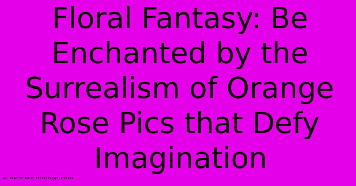 Floral Fantasy: Be Enchanted By The Surrealism Of Orange Rose Pics That Defy Imagination