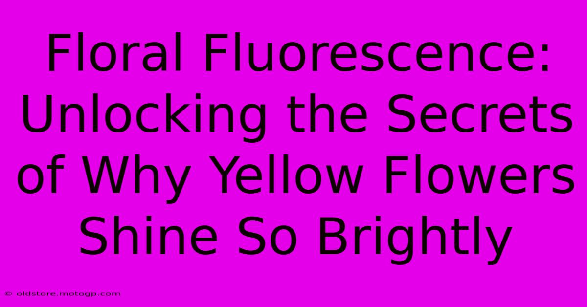 Floral Fluorescence: Unlocking The Secrets Of Why Yellow Flowers Shine So Brightly