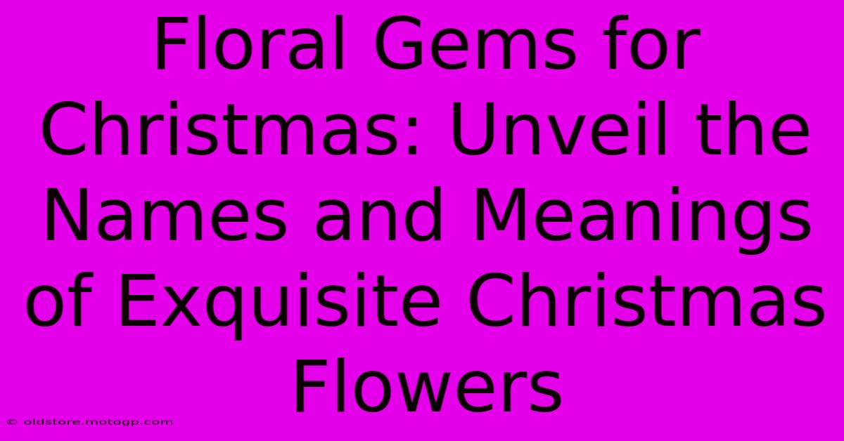 Floral Gems For Christmas: Unveil The Names And Meanings Of Exquisite Christmas Flowers